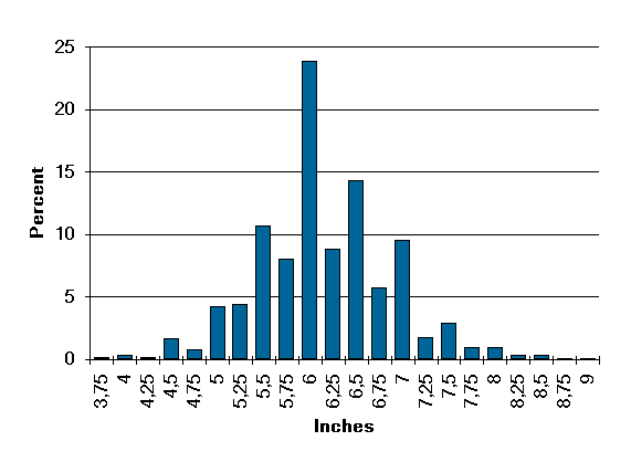 average-penis-size-human-penis