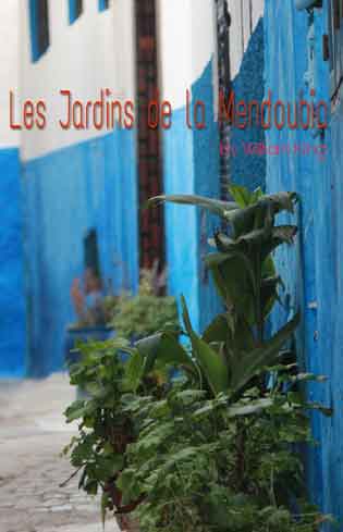 Les Jardins de la Mendoubia, by William King